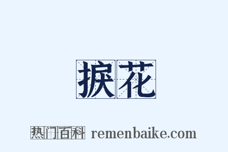 捩花是什么意思的图片